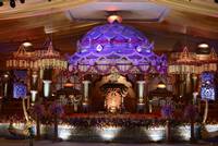 Balakrishna Daughter Wedding Photos